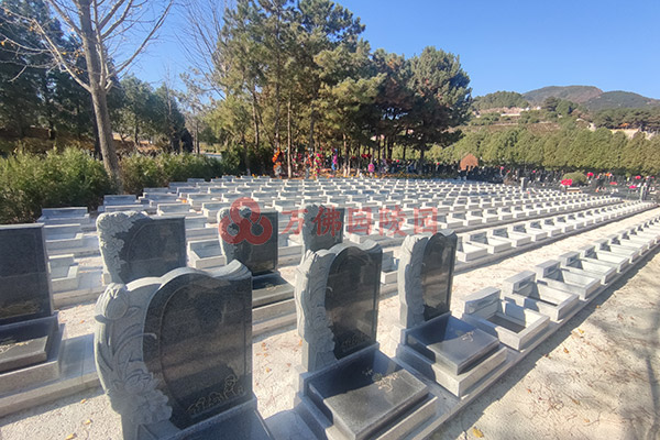北京万佛园公墓证丢失补办流程及注意事项！