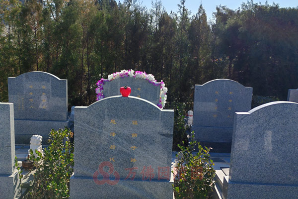 购买北京陵园后，如何进行后续的维护与管理？