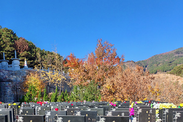 北京墓园墓碑设计有哪些风格？如何选择合适的外观设计？