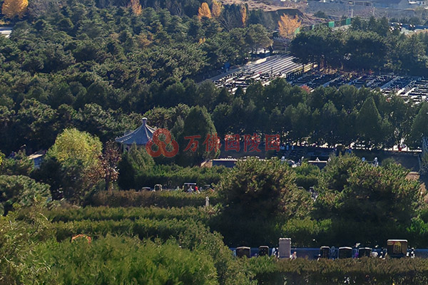 北京墓地草坪葬的具体流程是怎样的？