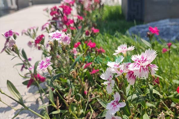 北京万佛园公墓 北京万佛园公墓